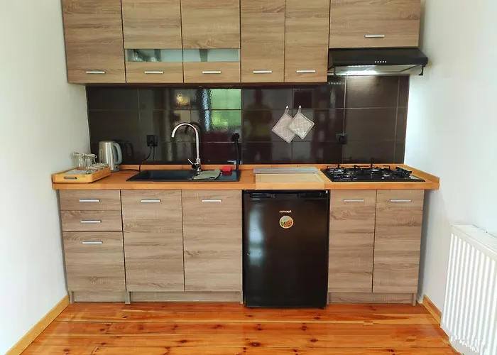 Izby Goscinne Stara Olejarnia شقة